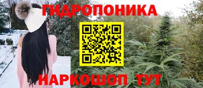 ПСИЛОЦИБИНОВЫЕ ГРИБЫ Новодвинск