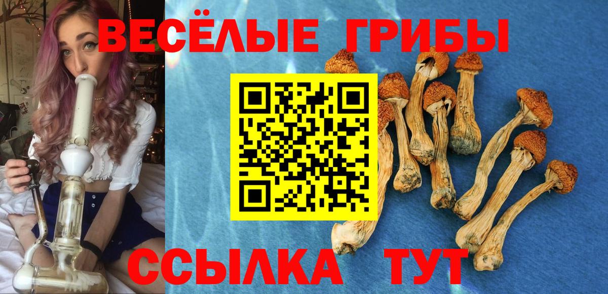 Югорск  Псилоцибиновые грибы Psilocybe  Вход с VPN 